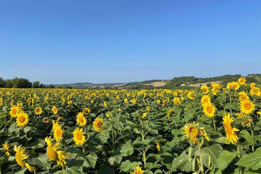 Gite Jeanroy A Cheerful 2 Bedroom Rural Gite Saint-Martial-Viveyrol Экстерьер фото